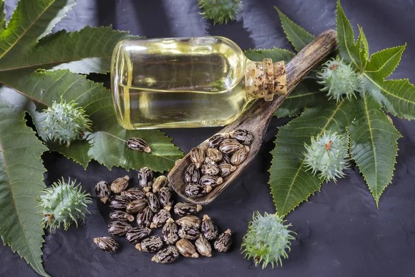 Huile de ricin castor oil