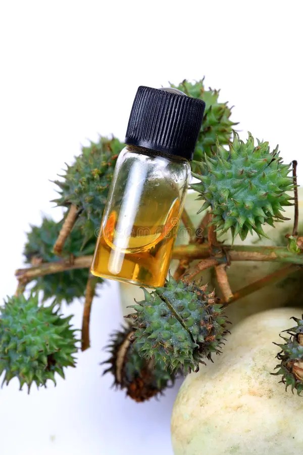 Utilisations quotidiennes de l'huile de ricin